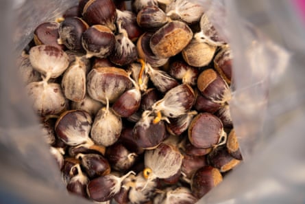 Chestnuts