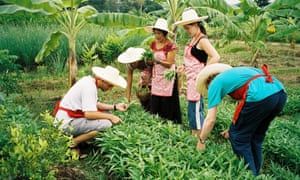 The Chiang Mai Thai Farm Cooking School.