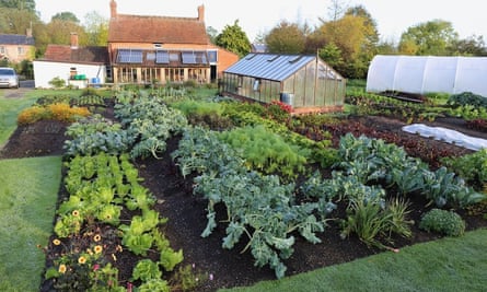 Charles Dowding's No Dig Gardening: From Weeds to Vegetables