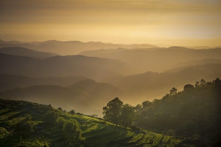 Sunset valley view with terraced fields of Serra de Monchique near mount Foia in the Algarve