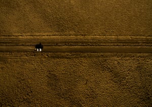 A drought hit area near Tambo in Queensland.