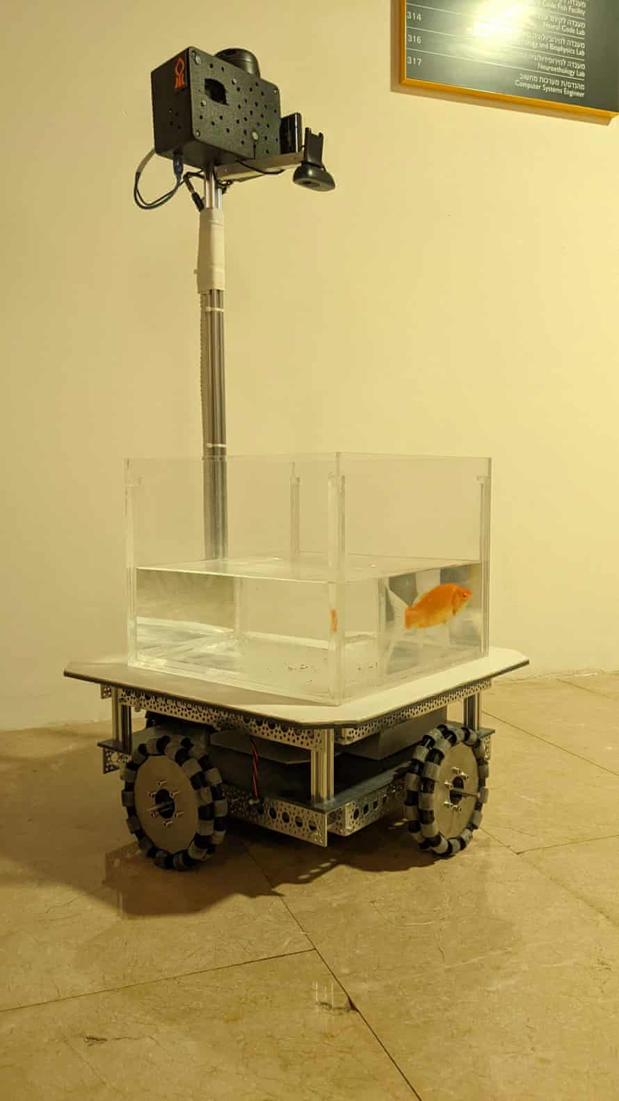 The watery tank on wheels created by Israeli scientists