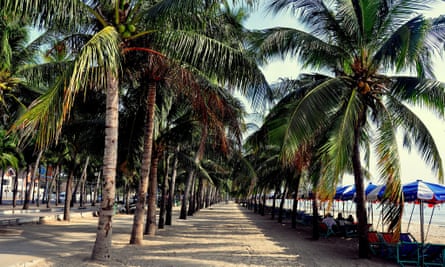 Bang Saen beach is backed by coconut palms.