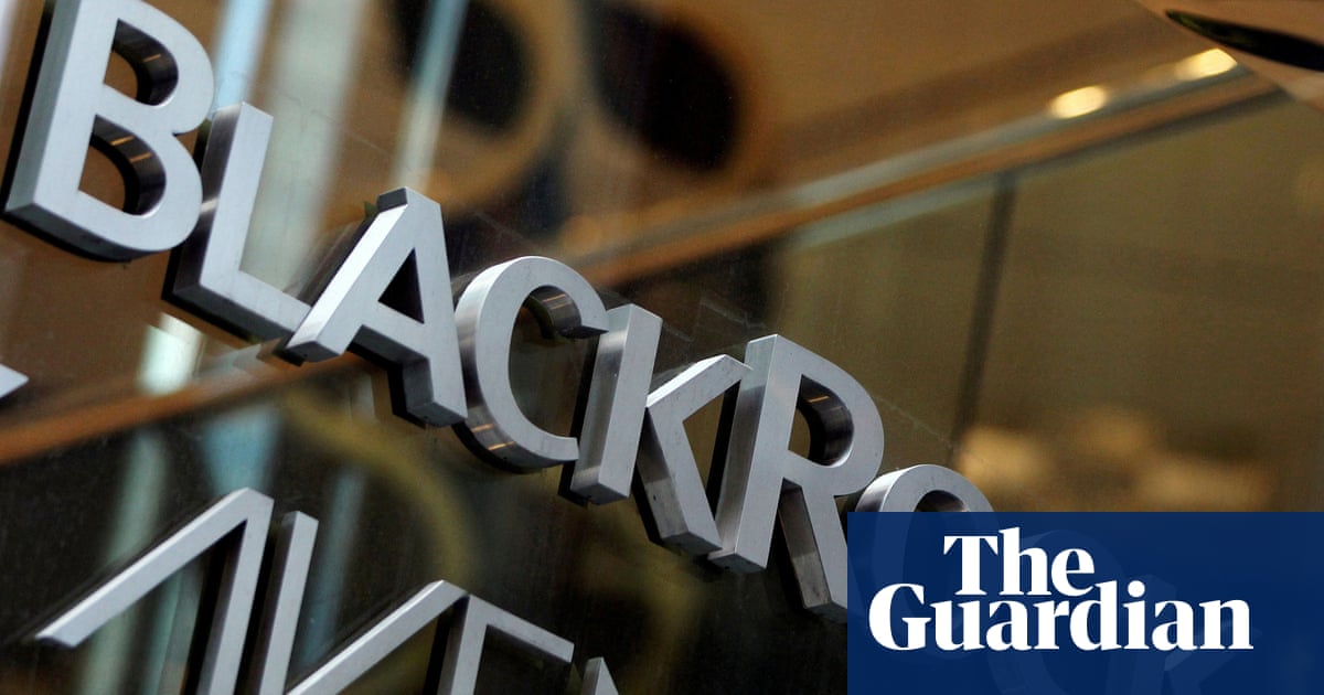 Campaigners call on UN Women to pull out of BlackRock partnership - The Guardian