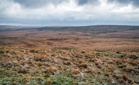 A brown and green expanse of peatland