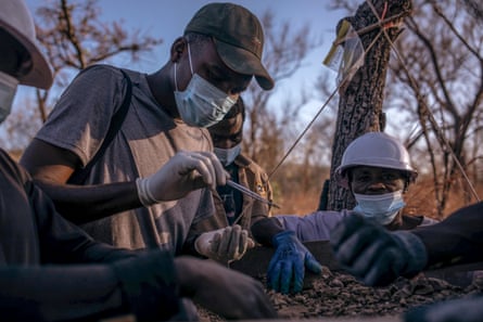 Chomela inspecting sediment.