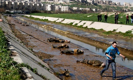 Some of the bodies of the executed men dumped in the river, January 2013.