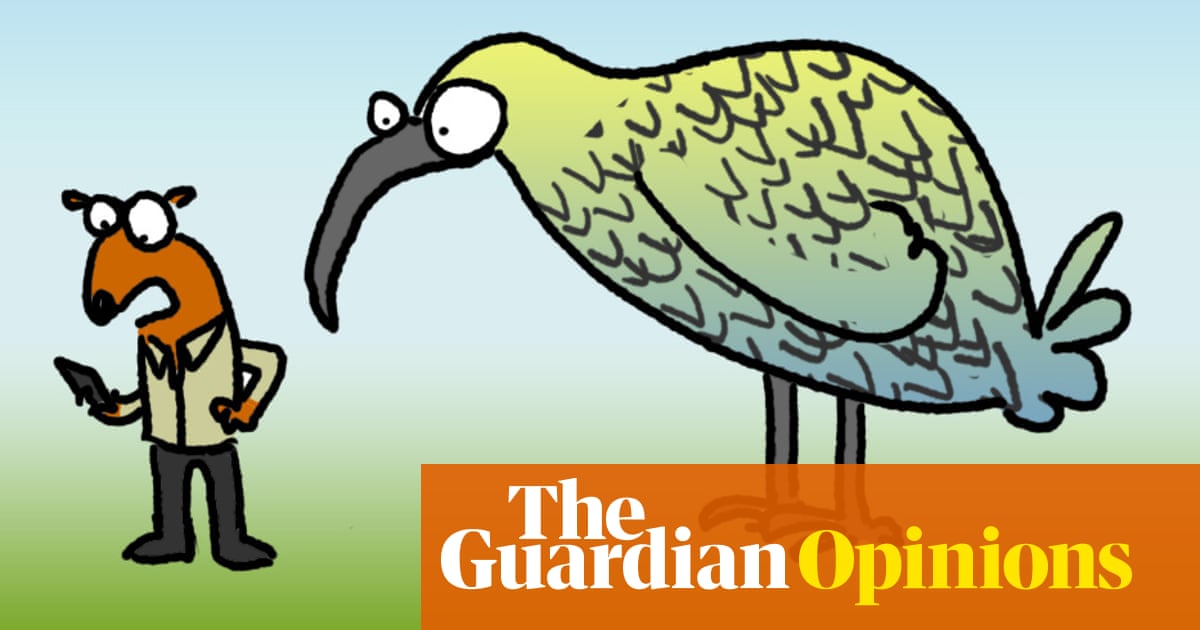 Did you know that there are huge caves full of weirdy bugs and ancient life right under the Nullarbor desert? | First Dog on the Moon Did you know that there are huge caves full of weirdy bugs and ancient life right under the Nullarbor desert? | First Dog on the Moon