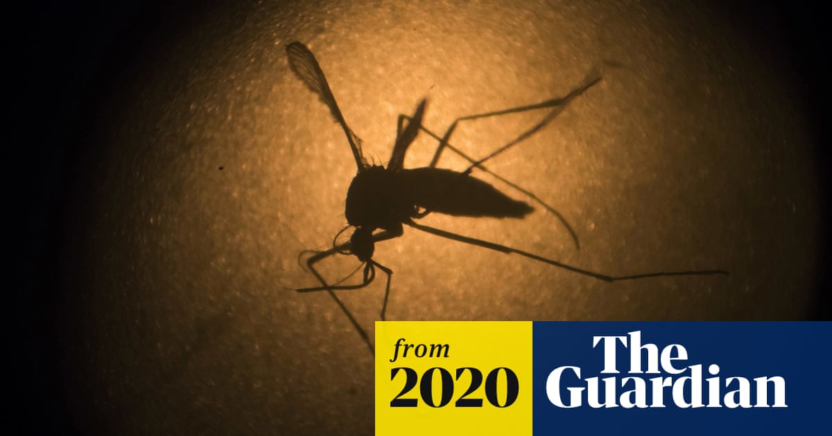 www.theguardian.com