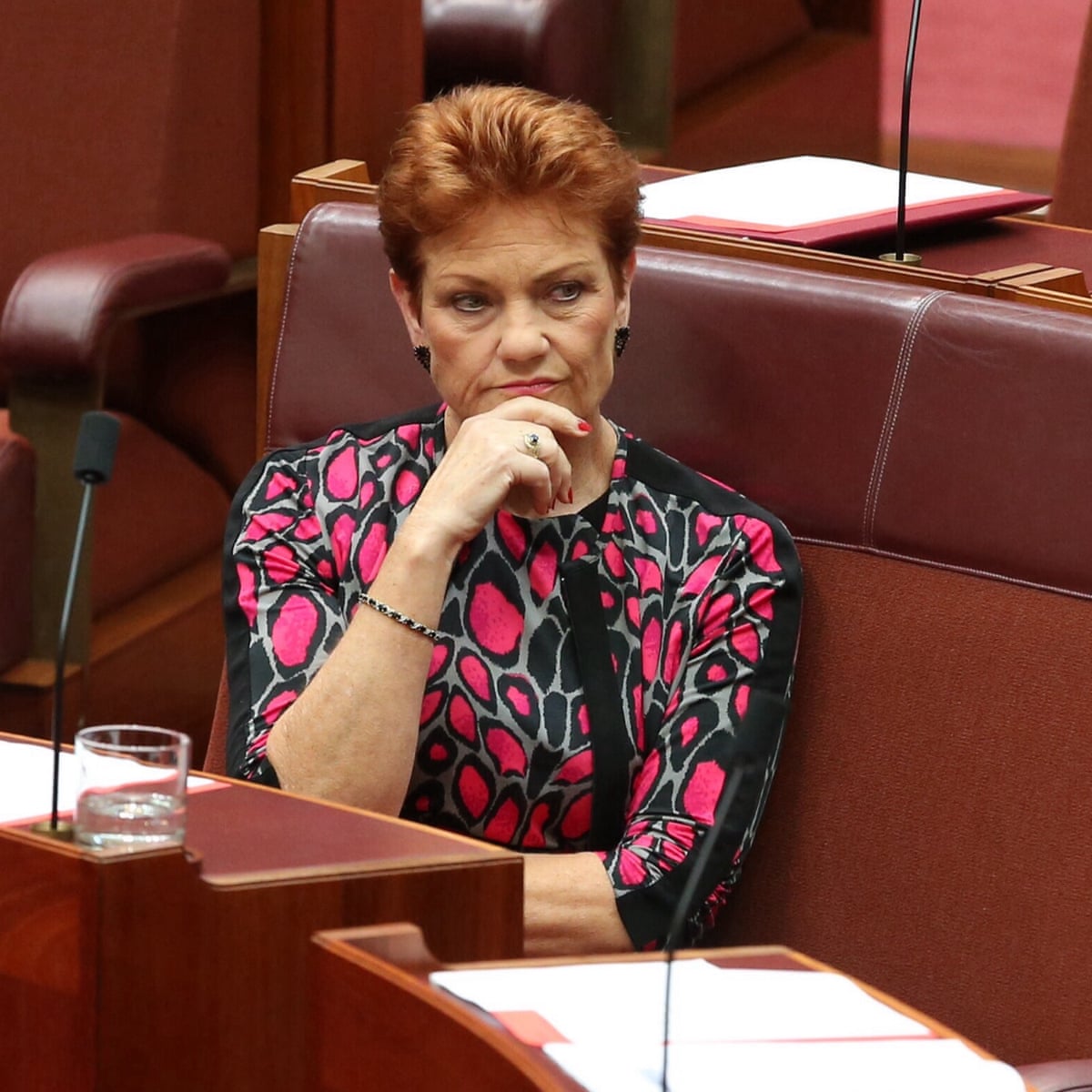Pauline Hanson says Labor trying to 'unstitch' One Nation with electoral allegations | Pauline Hanson | The Guardian