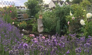 The bumble bee garden.