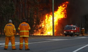 Firefighters