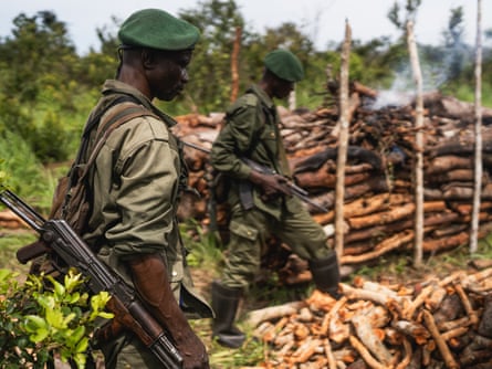 Cidades flutuantes de troncos: poderão os “pulmões de África” sobreviver à sua exploração?