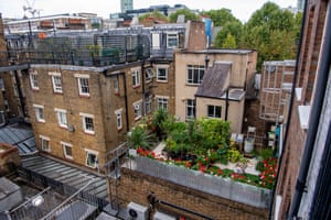 A once disused space at Goodge Street station has become an oasis, thanks to the green-fingered work of tfl staff