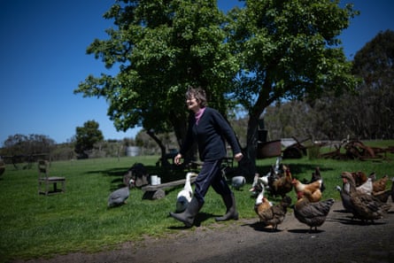 Woman in gumboots surrounded by chickens with a tree in the background