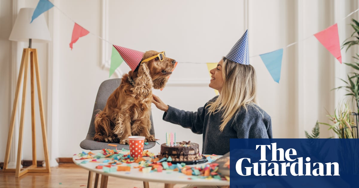 Pet parties: the surprising – and occasionally dangerous – trend for animal birthday celebrations