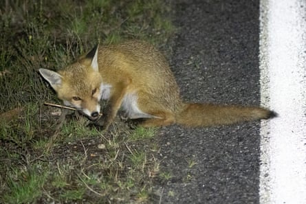 Funding would help share knowledge between localities and invest in efforts to protect at-risk species from extinction