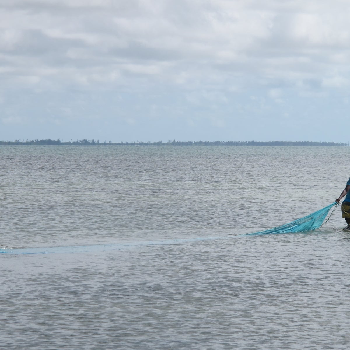 bed nets used for fishing KastKing Brutus Foldable Extendable Net FELIX INNOVATIONS: Mosquito nets used
