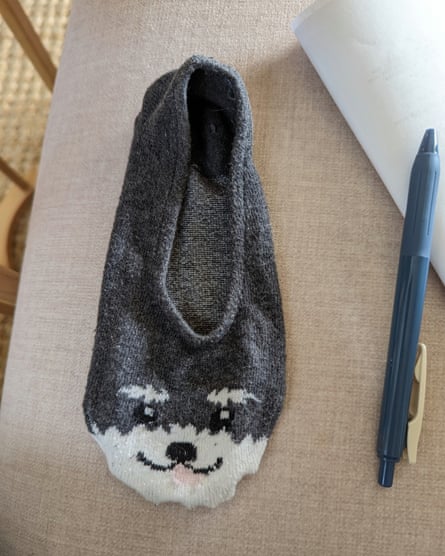 Kaus kaki abu-abu dengan wajah anjing.