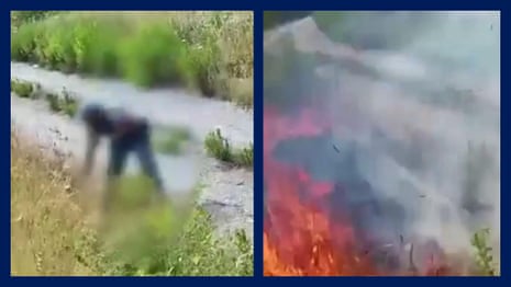 Video captures moment arsonist sets fire to grass in southern Italy  – video