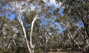 Somewhere in Australia: an undisclosed location near Gareth Hutchens’s favourite beach.