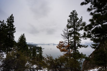 Evergreen trees connected a snowy hillside facing a lake.