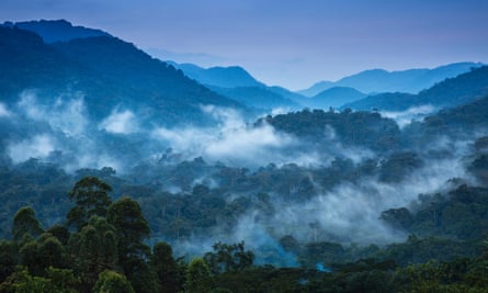 Bwindi Impenetrable Forest, Uganda