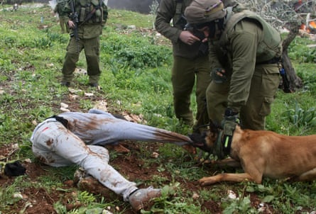 A person lies on the ground while a dog pulls at the sleeve of his jumper while on soldier holds the dog’s collar and another looks on.