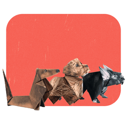 Boostology “Paper pups” dog origami set