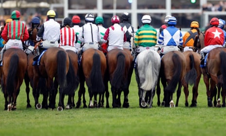 Horses lining up in the Pertemps Network Final.