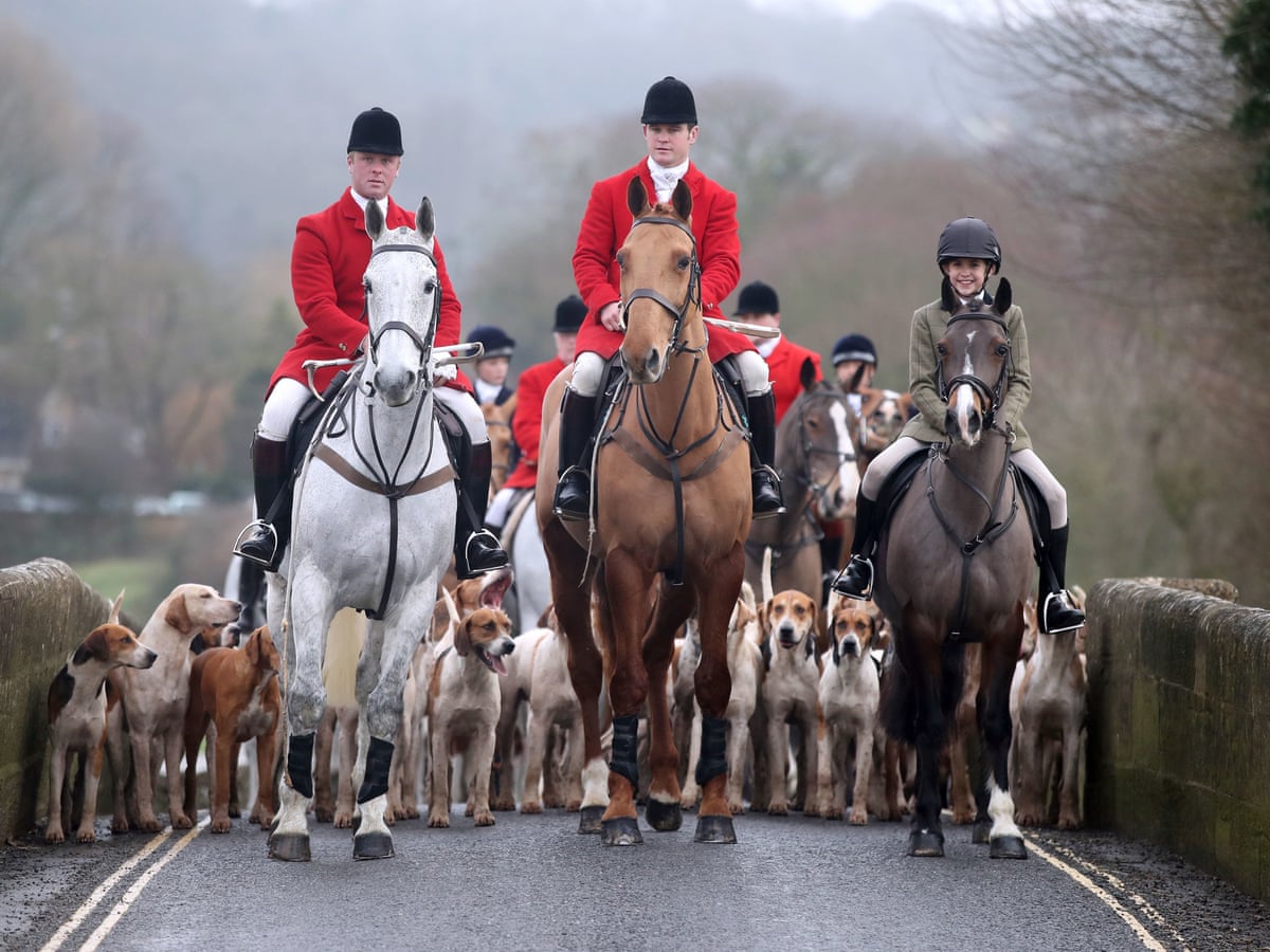 Foxhunting Carries On With Impunity Says Former Police Chief Hunting The Guardian