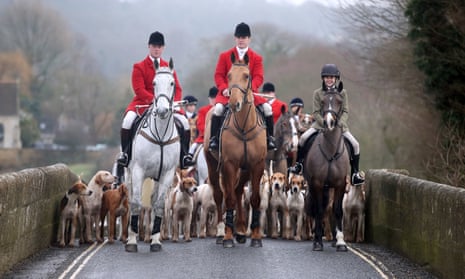 The hunting season is gearing up towards its Boxing Day ceremonial climax