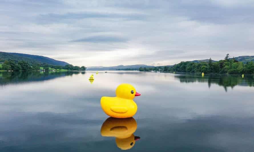 اردک لاستیکی که از نزدیک در Coniston Water ، Lake Lake ، انگلستان دیده می شود