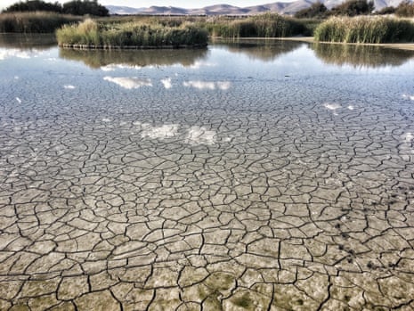 Las Tablas de Daimiel national park in central Spain has been dry for three years.
