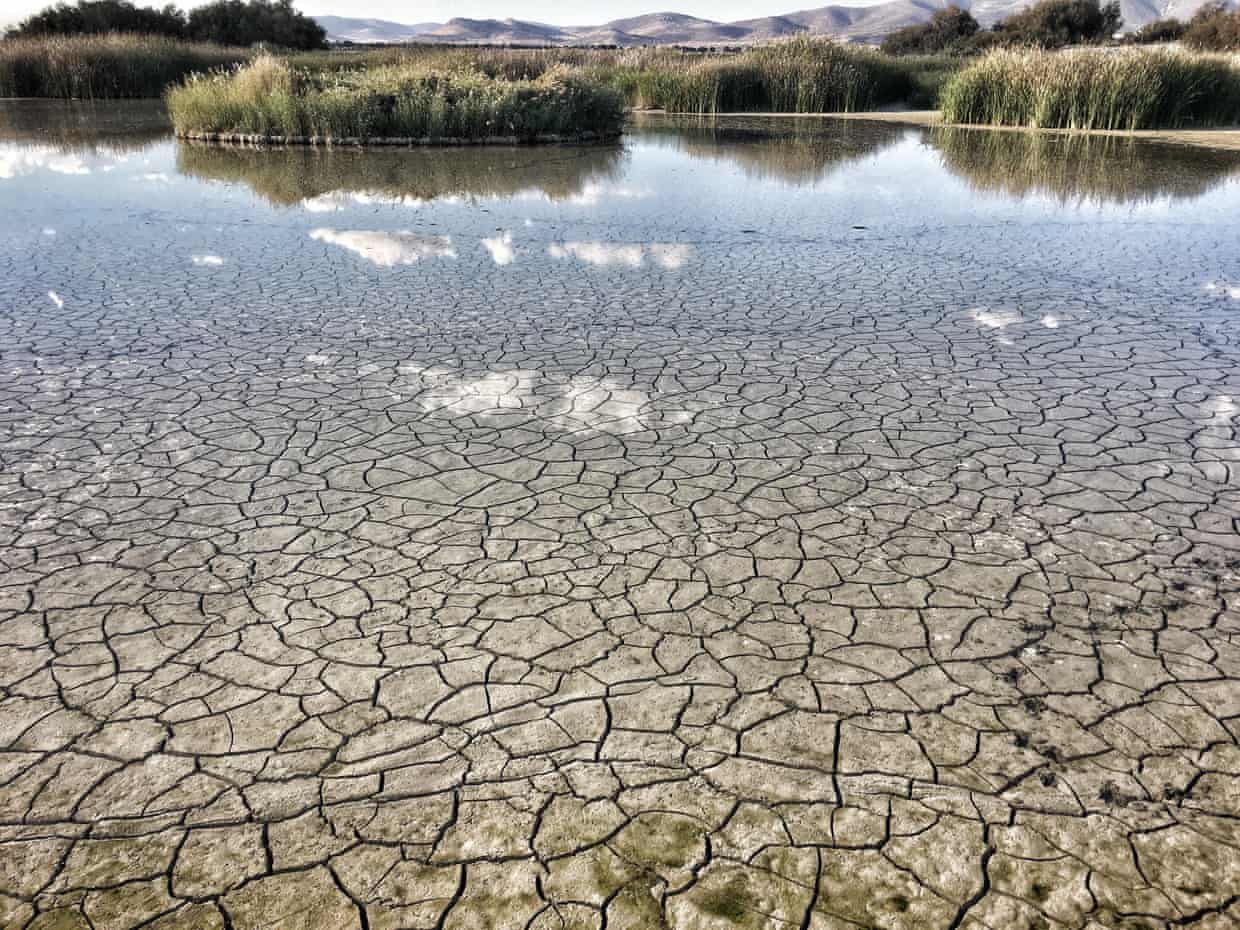 The true cost of growing food in Spain’s arid south The true cost of growing food in Spain’s arid south