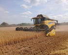 UK Harvest Begins Three Weeks Early Due to Climate Shifts