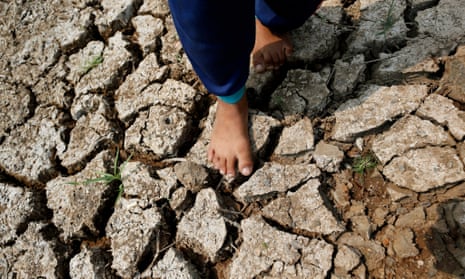 Drought-hit land in Thailand.