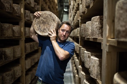 A man in a storage facility for cheese carrying a large wheel of it on his shoulder
