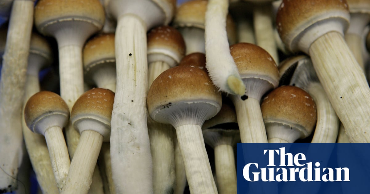 www.theguardian.com