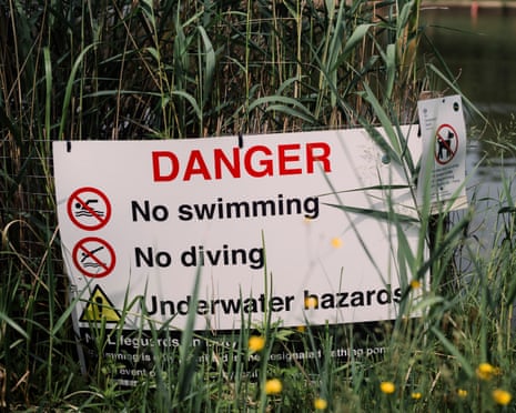 A white danger sign warning against swimming and diving, partially obscured by tall reeds and grass by water