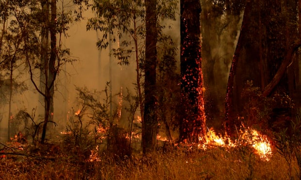 Small spot fires burning in the bush between Orbost and Cann River along the Princes Highway