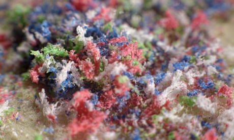microplastic fibres