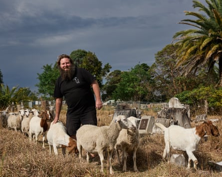 Craig Homan with his goats and sheep that are being used to naturally clear the land of vegetation and weeds