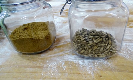 Flour ground from dried crickets, left, alongside crickets, at the Fazer bakery, Helsinki