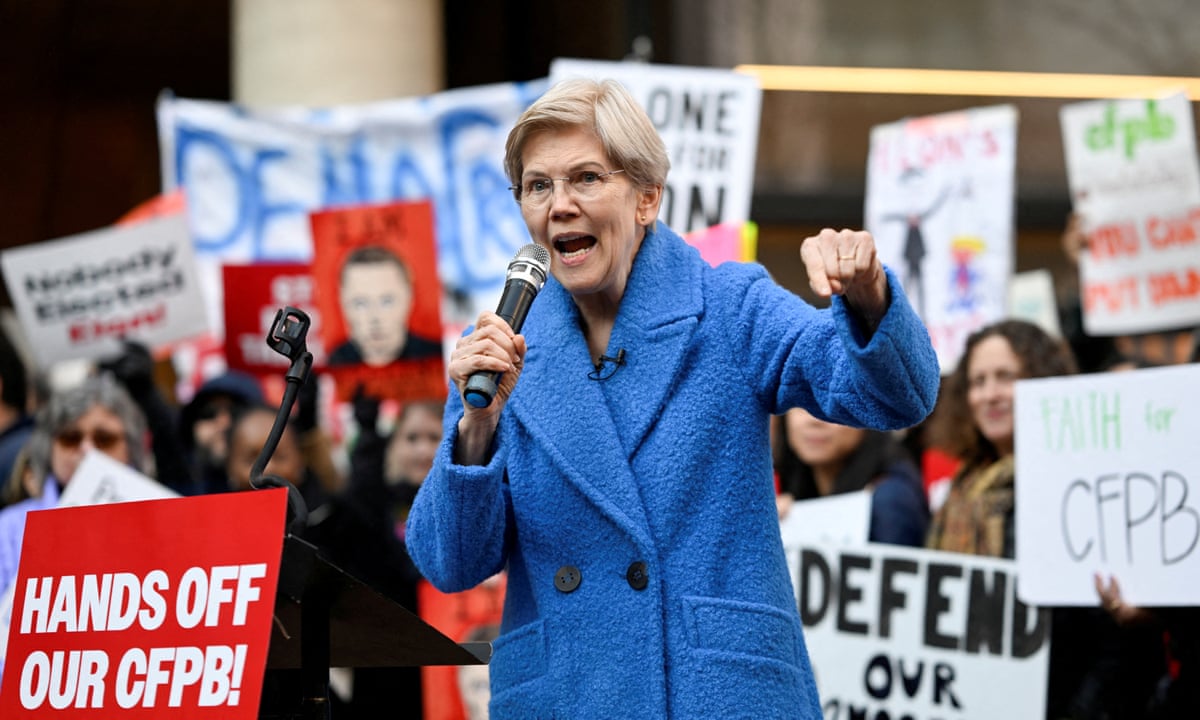 Democratic senators call for inquiry into Musk agency's firings of federal workers | US politics | The Guardian