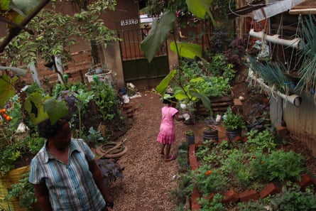 Harriet Nakabaale’s urban farm in the Kawaala district of Kampala is popular among locals who want to learn how to grow crops in their urban spaces.