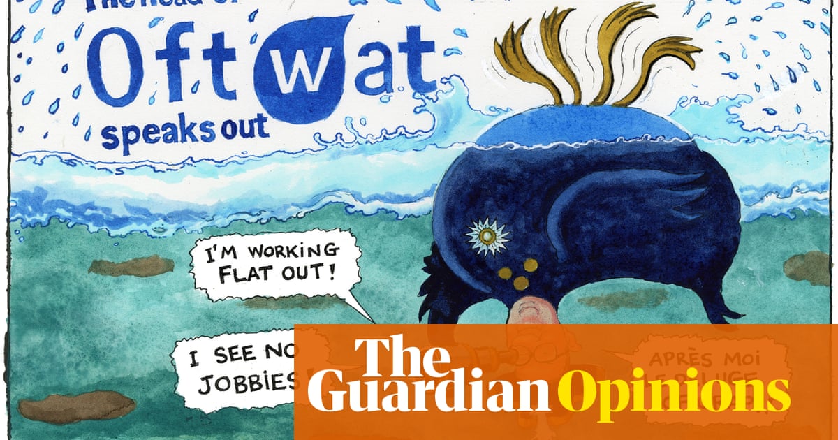 Steve Bell on the Ofwat boss’s defence of water companies – cartoon