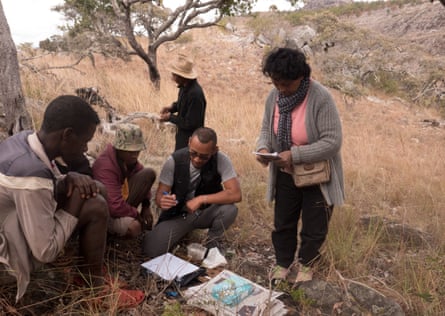 Seed collecting in the east of Madagascar.