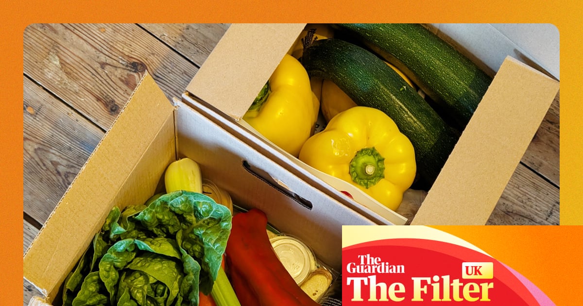 ‘Fresher than anything in a shop’: the best recipe boxes and meal kits for time-poor foodies, tested | Food ‘Fresher than anything in a shop’: the best recipe boxes and meal kits for time-poor foodies, tested | Food