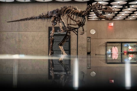 A mounted Nanotyrannus skeleton with jaws open stands displayed in Sotheby's lobby